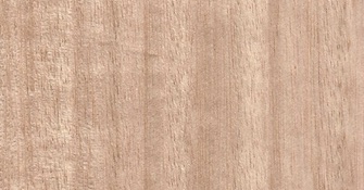 Kleine Materialkunde: Eukalyptus als Gartenholz