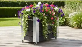 Schwarzer Pflanzkasten auf Rollen mit üppigen bunten Blumen und rankendem Grün steht auf einer sonnigen Terrasse.