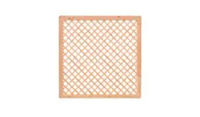 Rankhilfen Douglasie 1