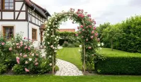 Holzbogen mit üppig blühenden Kletterrosen über einem Gartenweg, umgeben von Rosenbeeten und einem Fachwerkhaus.