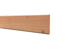 Douglasie Zaunlatten Genf