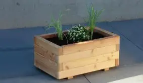 Wetterfest und attraktiv: 60 x 40 x 30 cm Blumengefäß aus naturbelassener Sibirischer Lärche