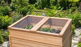 Sehr erfolgversprechend: Das Hochbeet mit Frühbeetaufsatz garantiert eine reiche Ernte