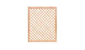 Rankhilfen Douglasie 3