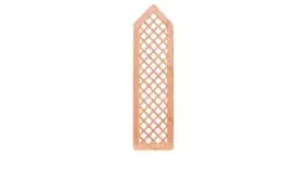 Rankhilfen Douglasie 9