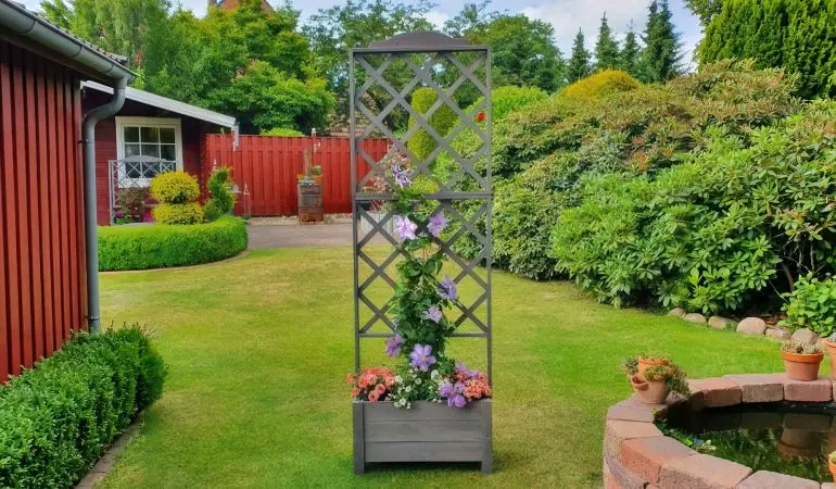 Der Rankkasten Ivy I hat eine Breite von 69 cm und eine Tiefe von 32 cm. Das Spalier erreicht an der höchsten Stelle eine Höhe von 210 cm