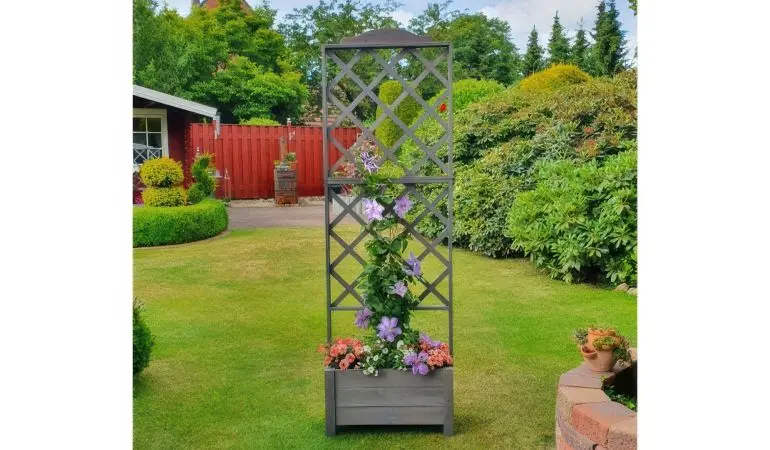 Der Rankkasten Ivy I hat eine Breite von 69 cm und eine Tiefe von 32 cm. Das Spalier erreicht an der höchsten Stelle eine Höhe von 210 cm