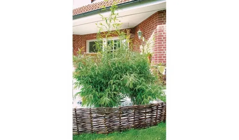 Natürlicher Beetzaun: Für naturnahe Zier- und Bauerngärten ist die Beeteinfassung Weide ideal