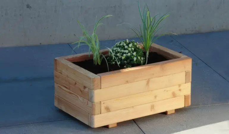 Wetterfest und attraktiv: 60 x 40 x 30 cm Blumengefäß aus naturbelassener Sibirischer Lärche