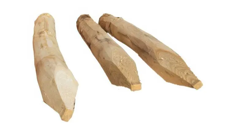 Geschälte, gespitzte und naturbelassene 100 / 150 / 175 / 200 / 250 cm Robinienpfähle mit gefastem Kopf. Durchmesser: 9 cm