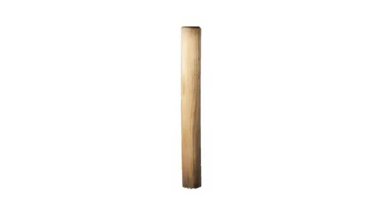 Palisaden aus druckimprägnierter Kiefer mit 12cm Durchmesser sind bei uns in 50 / 100 / 150 und 200 cm Länge erhältlich