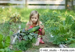 Junges Mädchen sitzt mit Zucchini im Kinderbeet