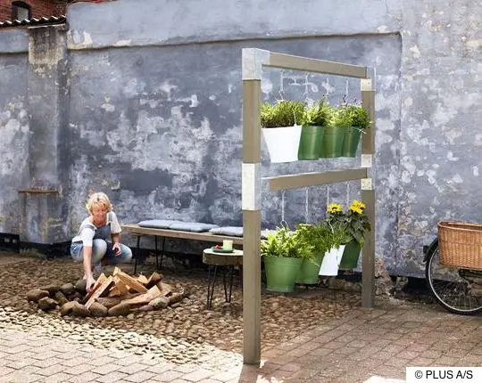 Hängegarten: Schwebende Pflanzen als dekorativer Raumteiler Hängegarten: Schwebende Pflanzen als dekorativer Raumteiler