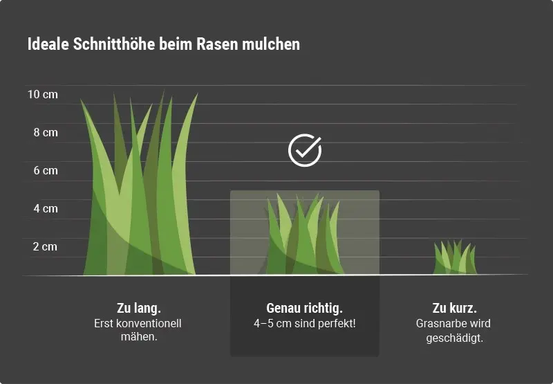 Grafik: Ideale Schnitthöhe beim Rasen mulchen