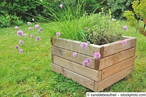 Pflanzkübel aus Holz im Garten mit Blumen – ein formschöner Hingucker