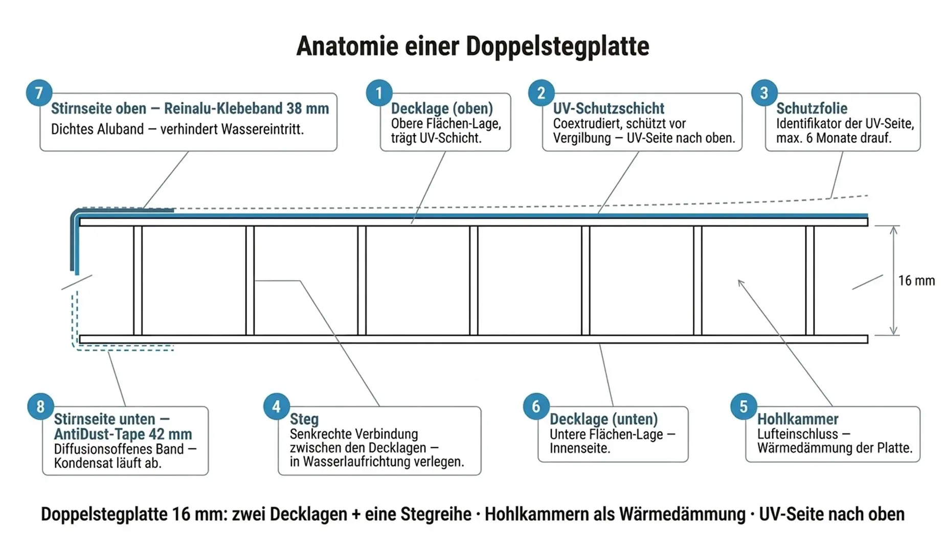 Aufbau einer Doppelstegplatte im Schnitt